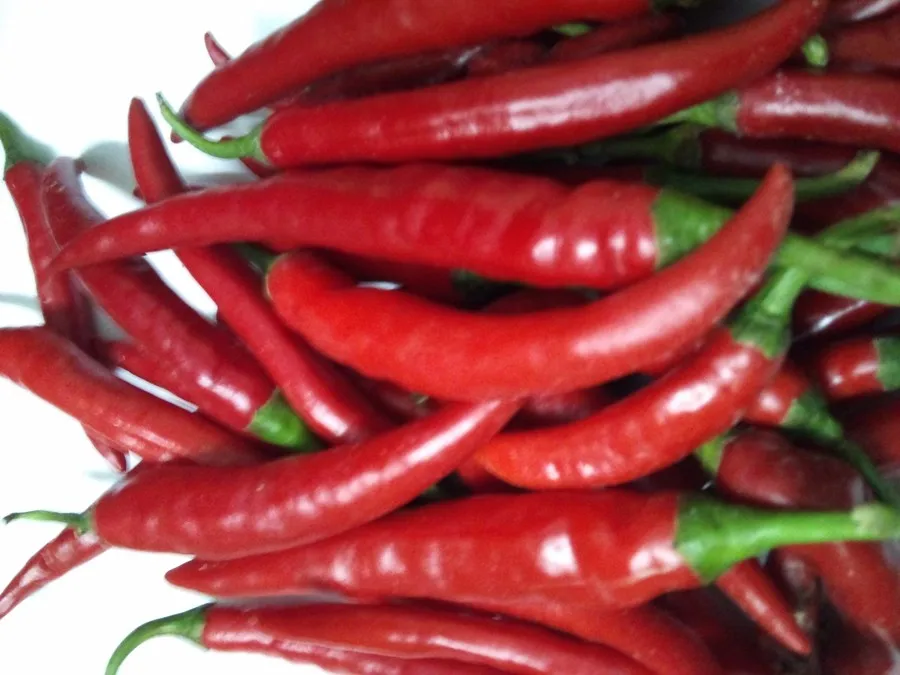 DSC_0481 - Copy - Copy.jpg