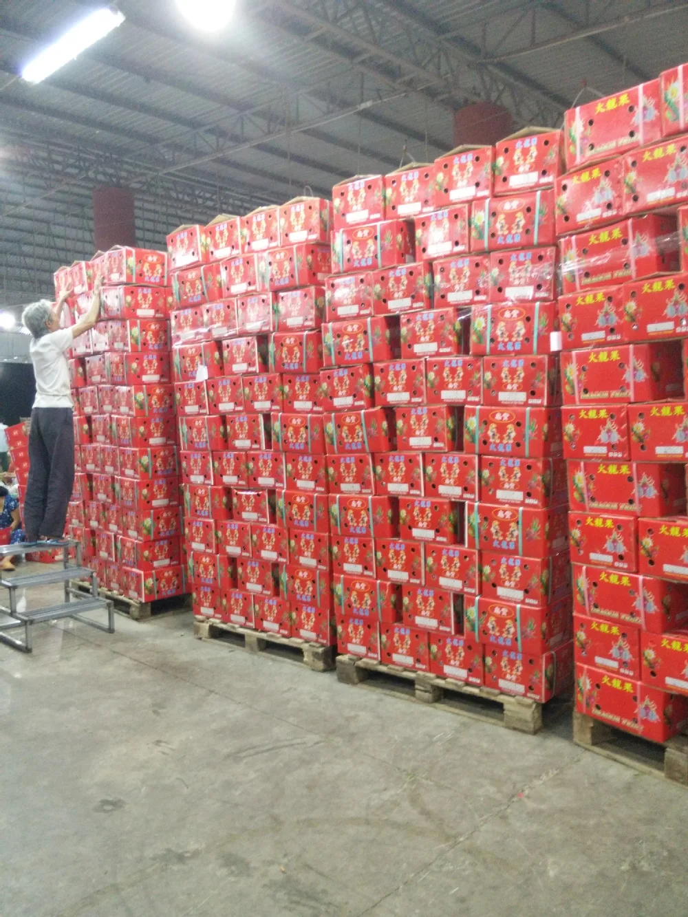 Wholesale Dragon Fruit At Good Price Buy Dragon Fruit,Frozen Dragon