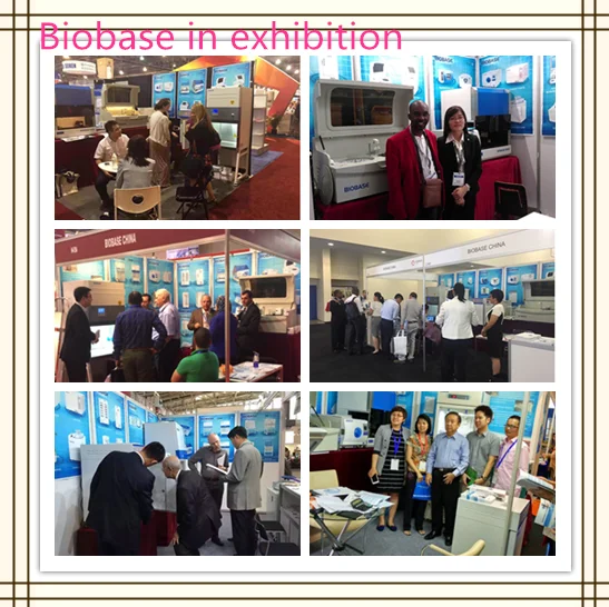 exhibition_.png