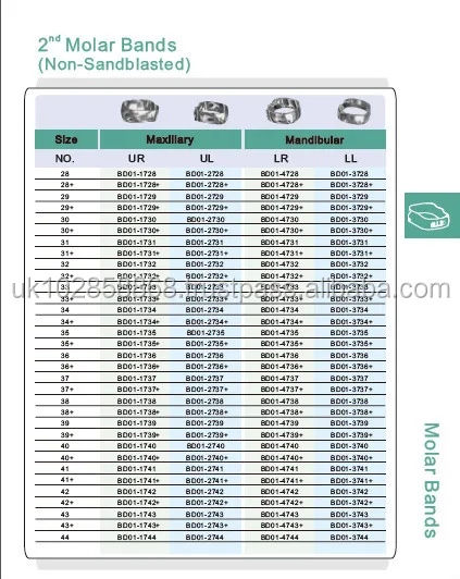 Hot Sell In Germany!!dental Orthodontic Molar Bands Single,Double ...