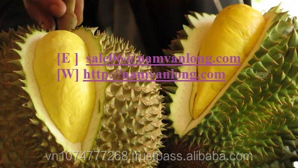 video-travel-durian-articleLarge