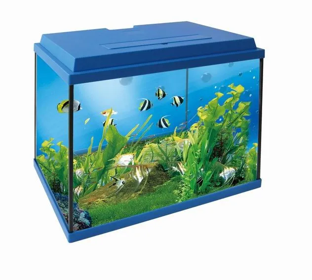 Factory Wholesale Big Desktop Aquarium Tanks Fish Tanks With Led