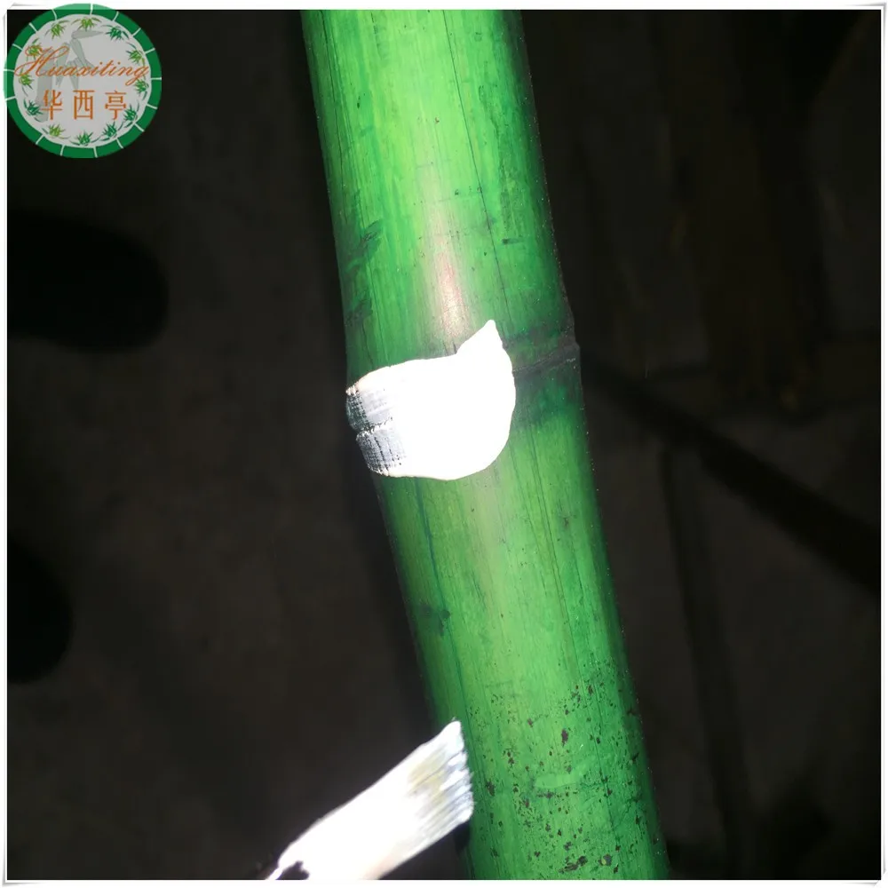 Colored Bamboo Poles,Green Bamboo Poles Buy Green Bamboo