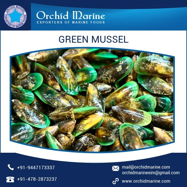 High Quality Frozen Green Mussel Buy Green Mussel Price,Green Mussel