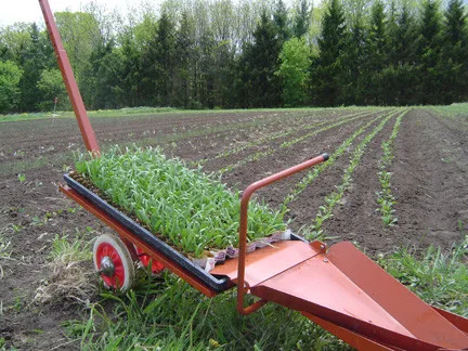 2行种植洋葱栽植机机械销售日本制造