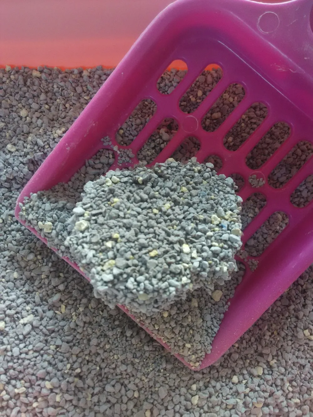 Bizning mushuklarimiz etuk Bizning mushuklarimiz etuk