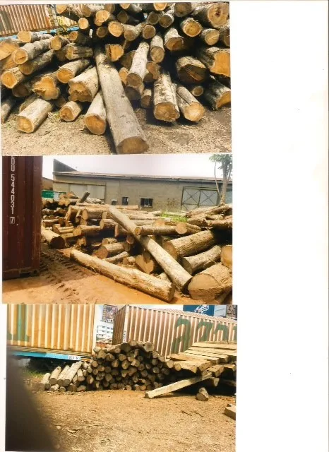 Kiwila,Rosewood,Vitex,Pine Timber - Buy Solomon Islands Timber,Vitex ...