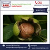Top Quality Fresh and Delicious Walnuts Supply by Leading Exporter