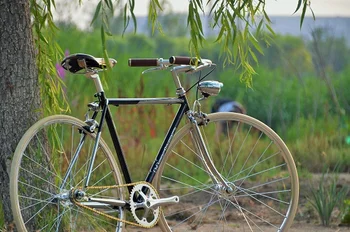 steel fixed gear