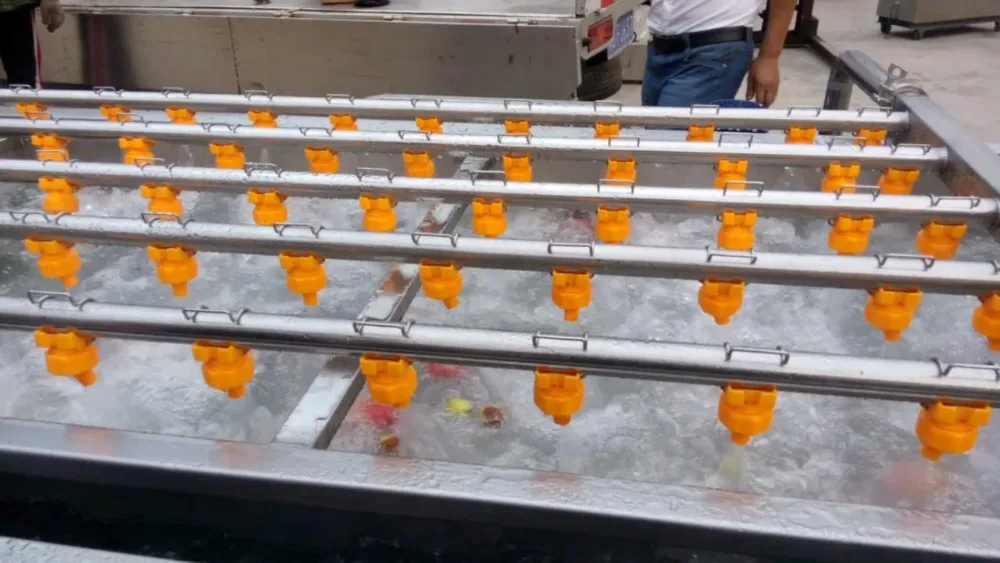 ozone generator for cleaning vegetables