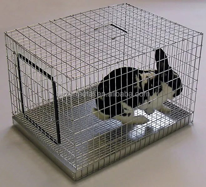 Hot Dipped Galvanized Bird Cage Welded Wire Mesh Roll Buy Bird Cage Welded Wire Mesh Roll,Jute