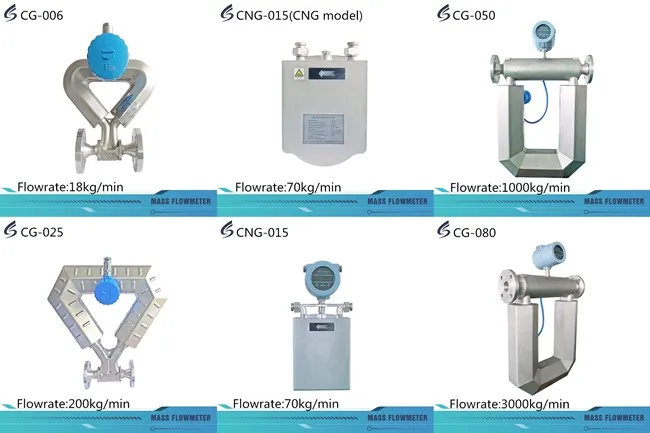 CNG dispenser Coriolis mass flow meter