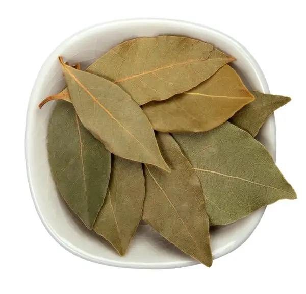 grade a quality bay leaf for bulk supplies