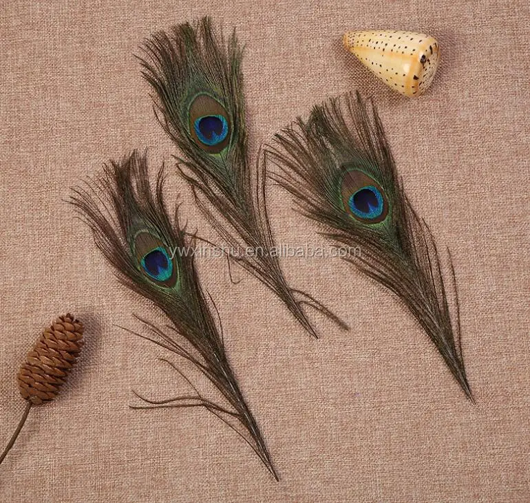 peacock feather trims (3).jpg