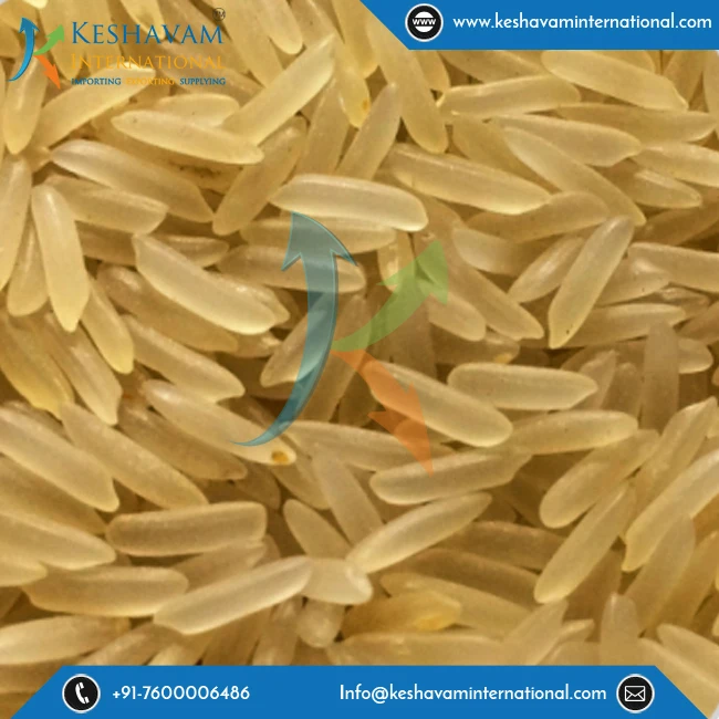 sella 1121 Rice 2.jpg