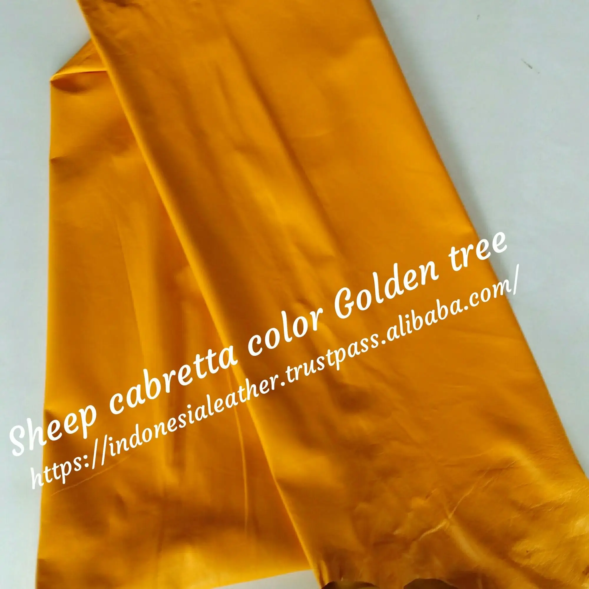 sheep cab col. golden tree.jpg