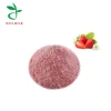 Strawberry Juice Powder, High Quality Spray Dried Instant Fruit Powder