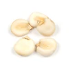 Good quality white corn for sale