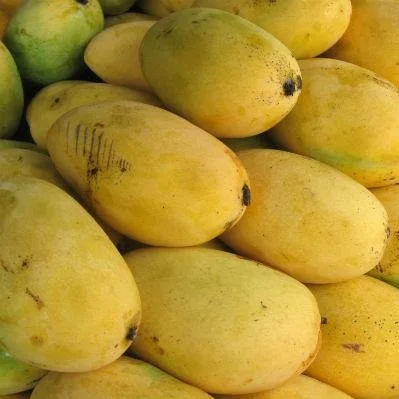 fresh mango prices