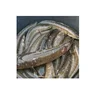 Frozen snake head fish Available/Best Price