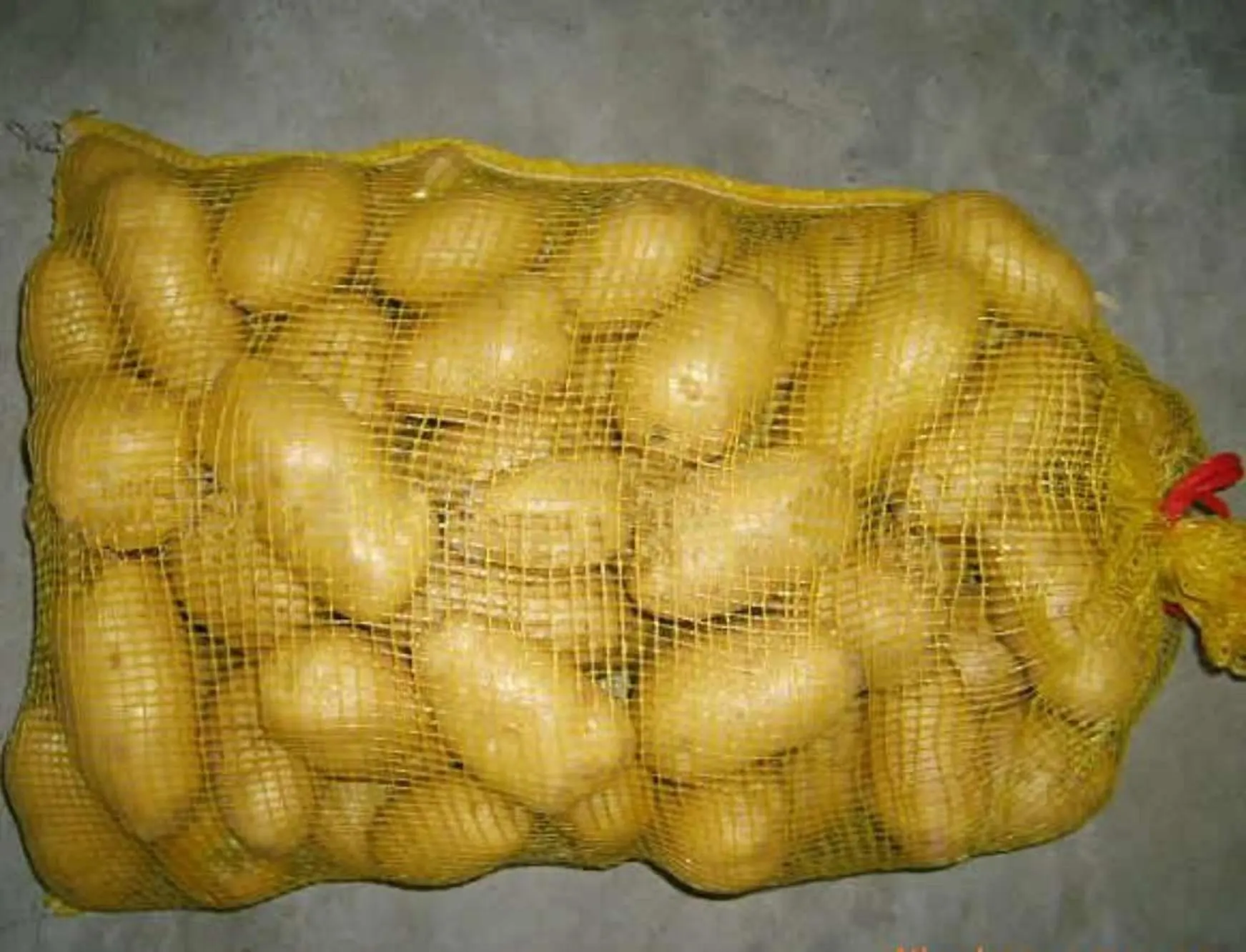 FRESH POTATO 2018 BANGLADESH