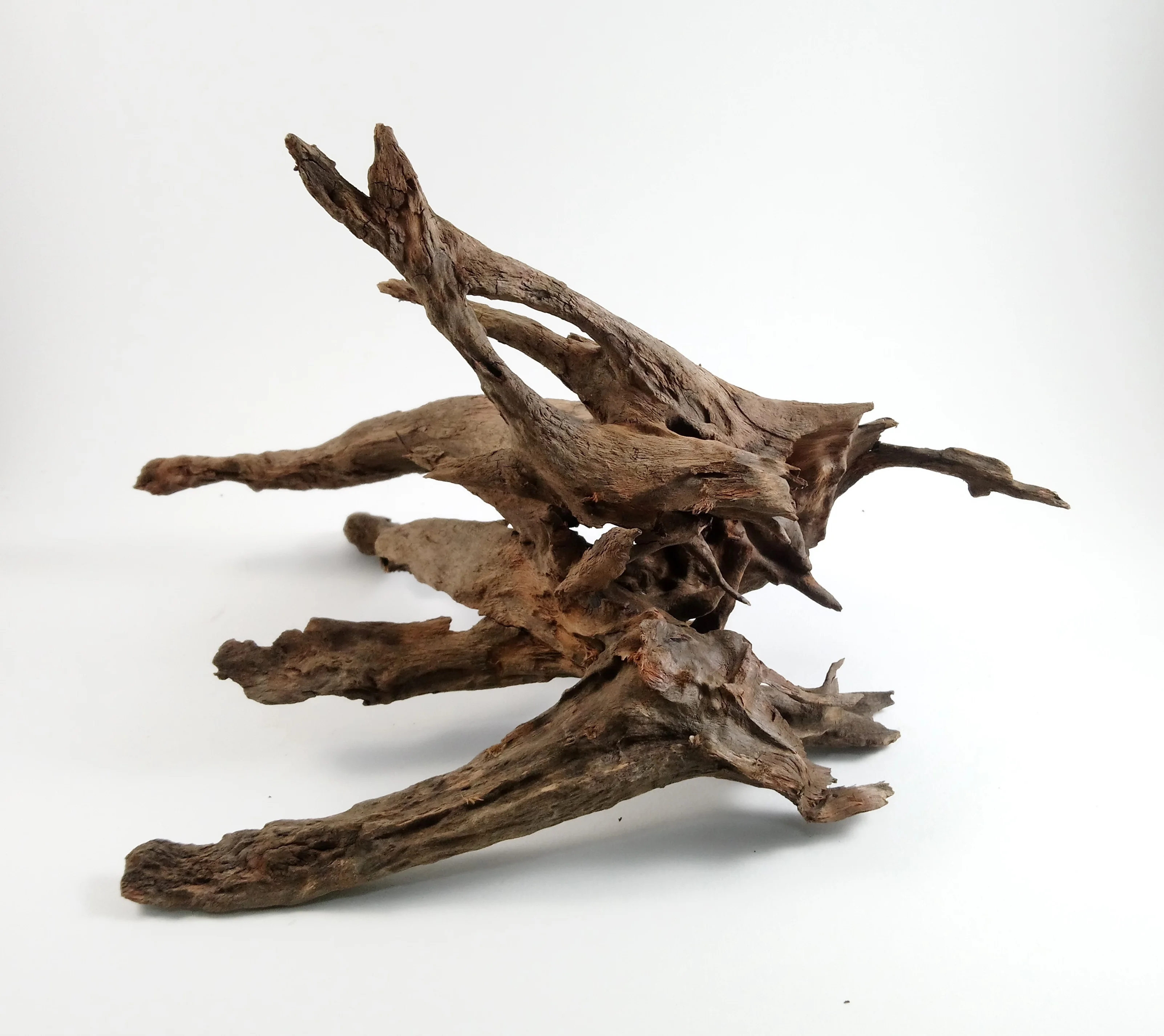 Wholesale Driftwood Buy Malaysian Driftwood,Driftwood Mangrove