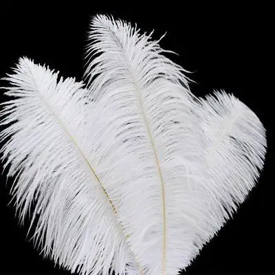 where to purchase ostrich feathers