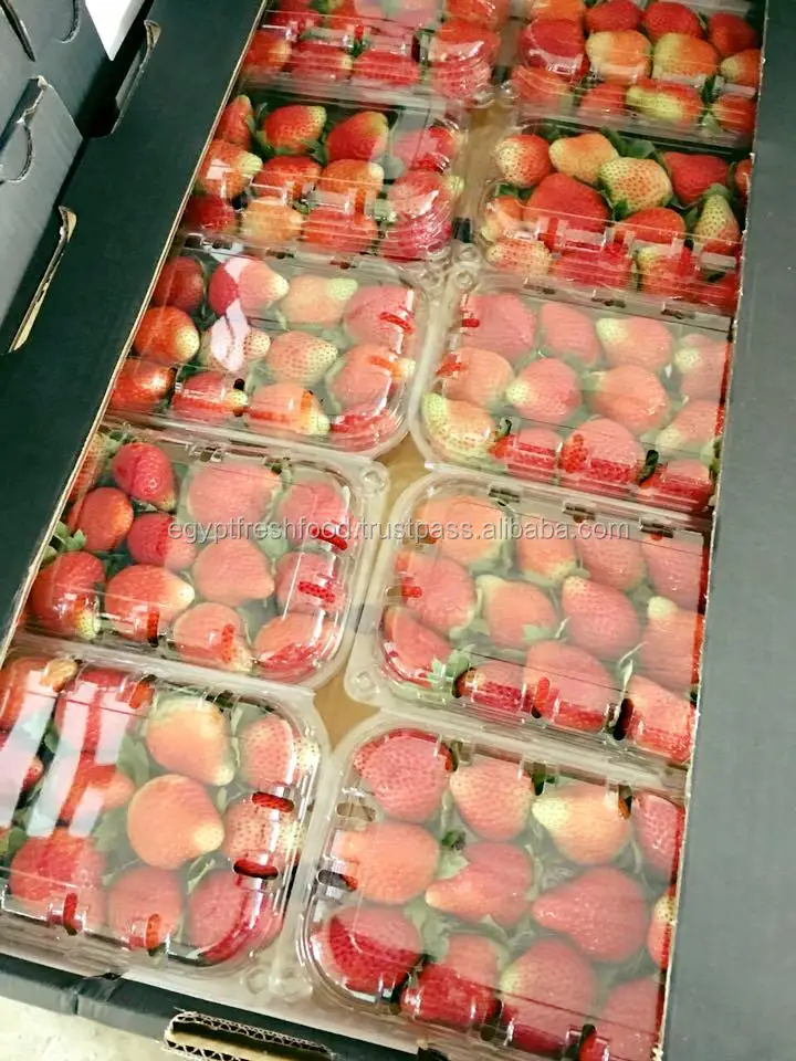 Fresh Strawberry Fruit Crop 2019,Best Quality And Price Ready To Export