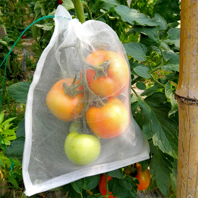 nylon net bags.jpg