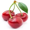 Hot sale high quality iso certified new crop sweet fresh cherry