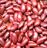 Buyers interested in "Kidney Beans" also like ..