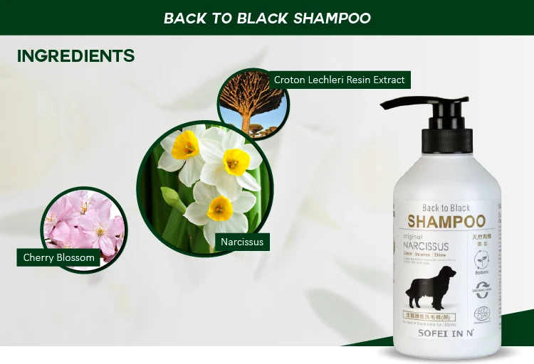 Dog Shampoo For Dark Black Color Fur Protection Buy Black Poodle Cat