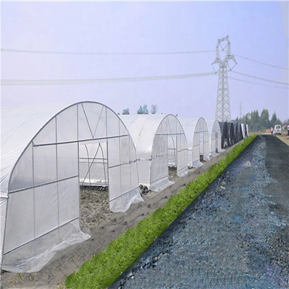 Polytunnel/cheap Single Span Plastic Greenhouse For Agriculture Buy