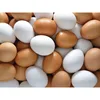 %30 DISCOUNT NOW!!!!SMALL MEDIUM LARGE EGGS Table Egg Variety and Egg Product Type chicken egg