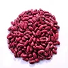 Dark Red Kidney Beans Northeast origin