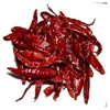 Wholesale Export Quality Red Chilli India