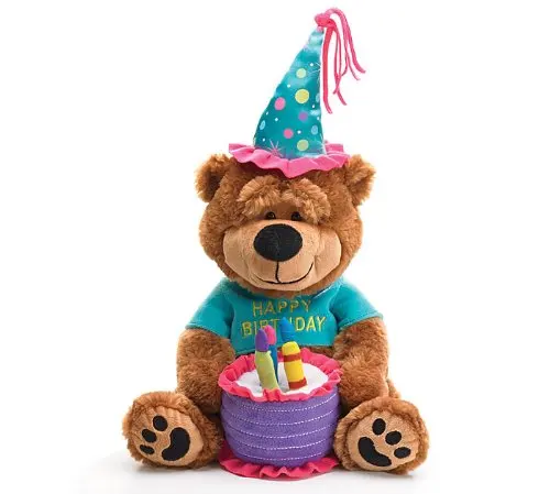 teddy bear gift birthday