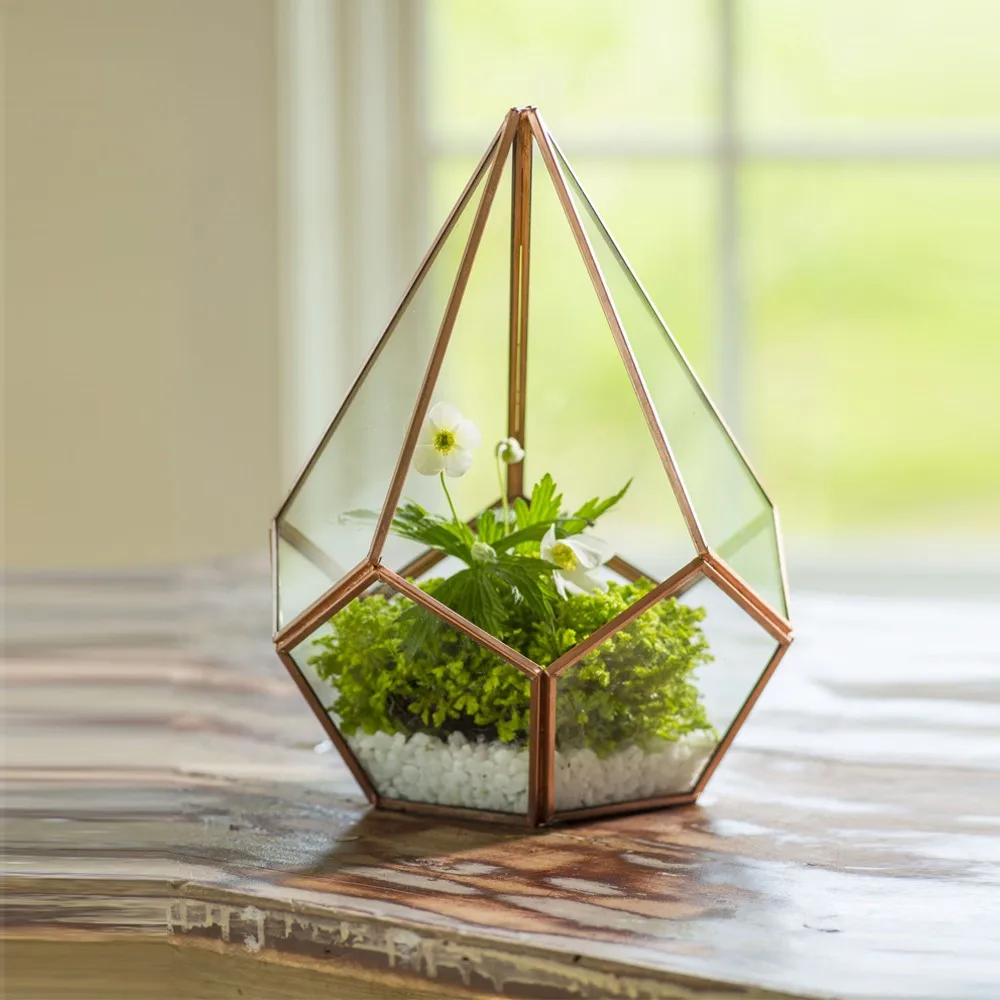 Wholesale Clear Glass Terrarium With Wooden Base Buy Glass Ball