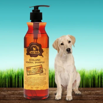 460 Koleksi Semua Gambar Hewan Peliharaan Gratis Terbaru