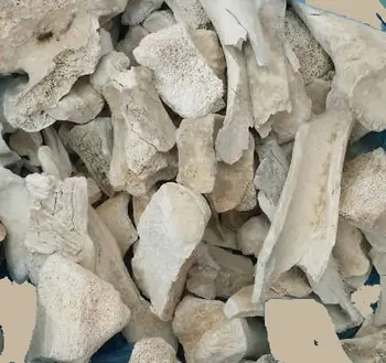 crushed bones