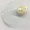 1.59 PC Polycarbonate Blue Block Blue Cut Finished Lens optical Lab