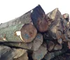 /product-detail/beech-round-logs-62008743526.html