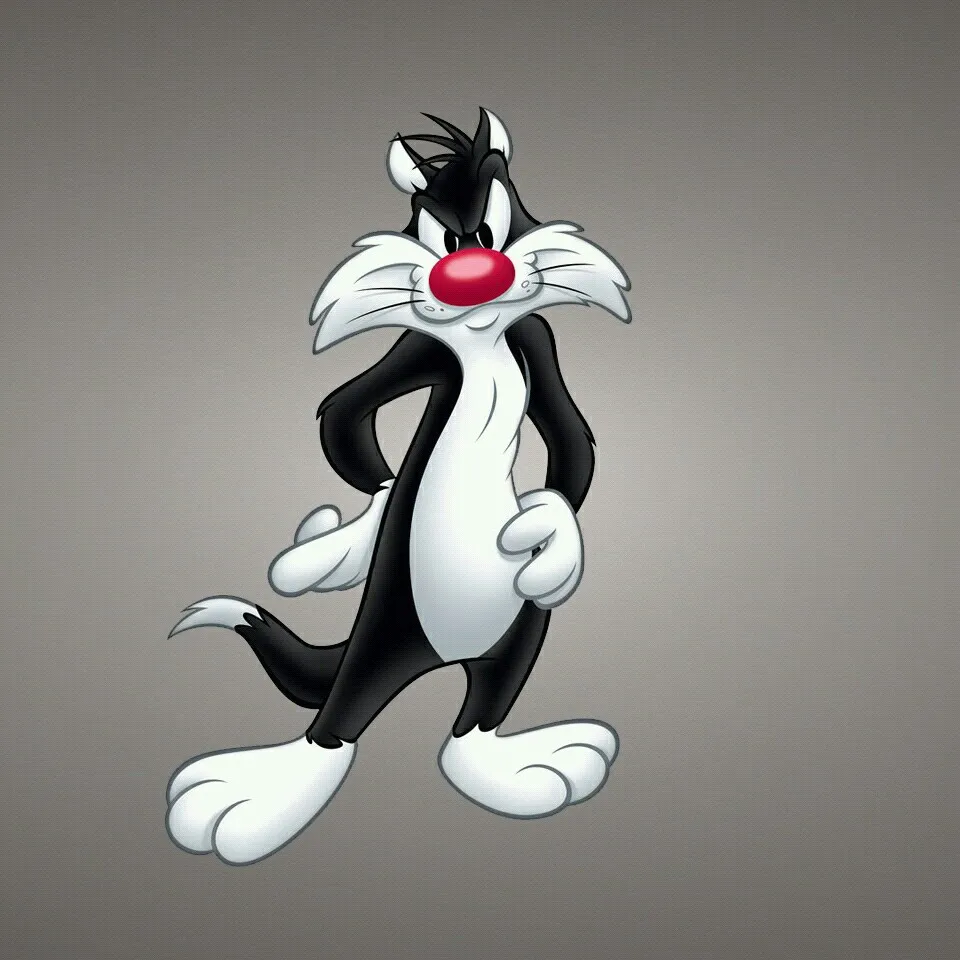 Кот сильвестр