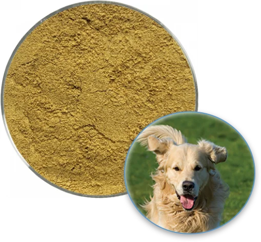 
New Zealand Green Lipped Mussel Powder 
