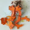 Thai Herb Dried Turmeric Natural Product