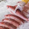 Premium Whole round seafood frozen red snapper fish, COD FISH, LEATHER JACKET FISH