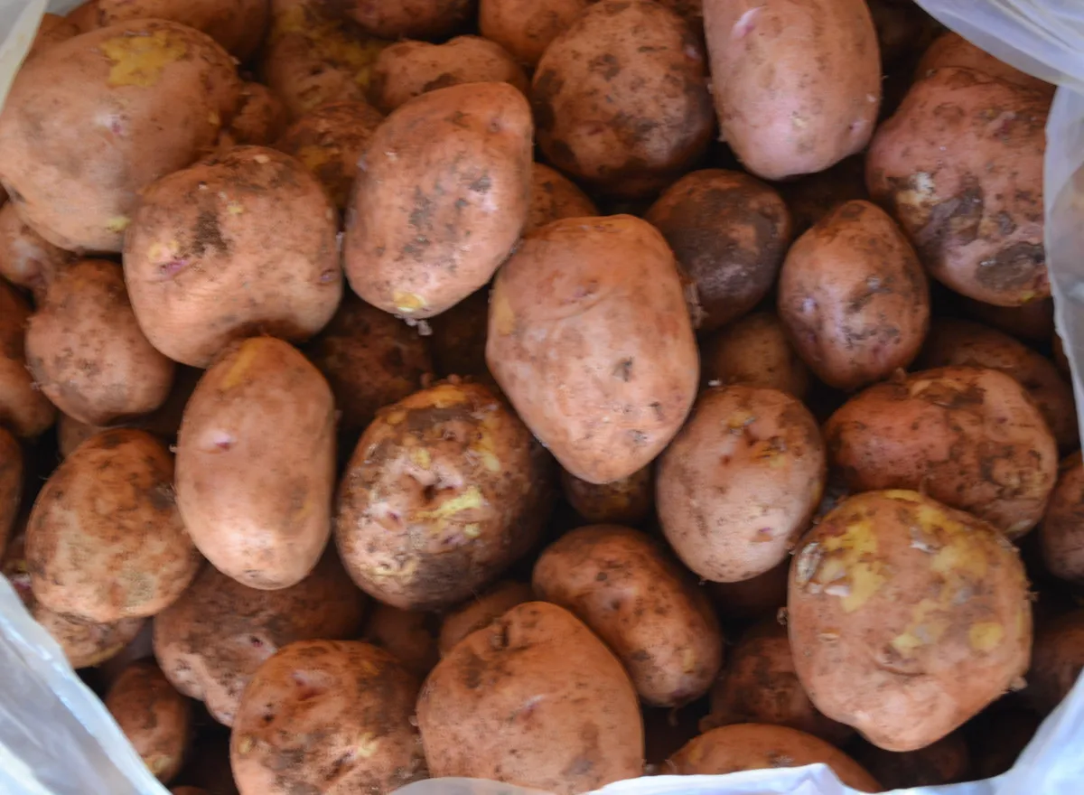 Potato / Vietnam Potato / For Food With Best Price Buy Potato,Fresh