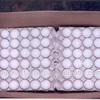 Indian White Eggs with Price