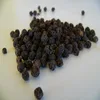 VIETNAM BLACK PEPPER HIGH QUALITY