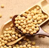 Yellow Soybeans China Non GMO Soy Beans